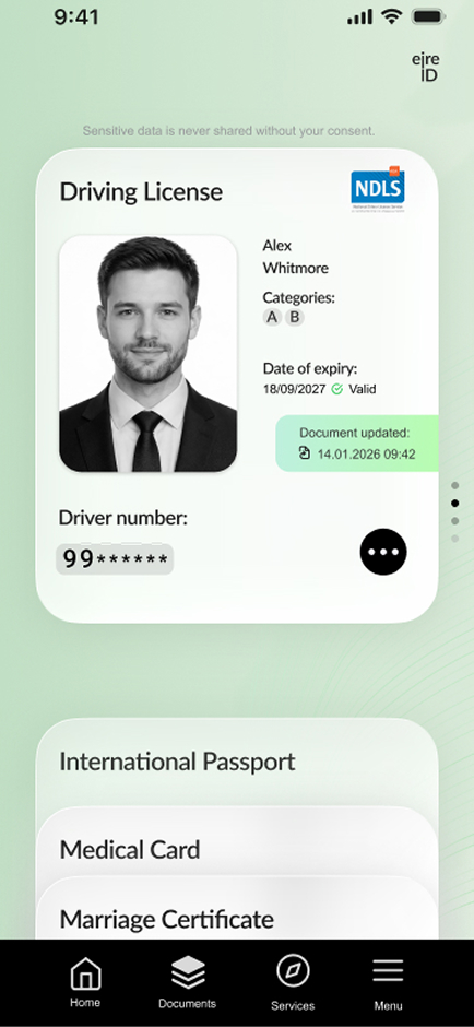 Official Irish driving licence issued by the National Driver Licence Service (NDLS).